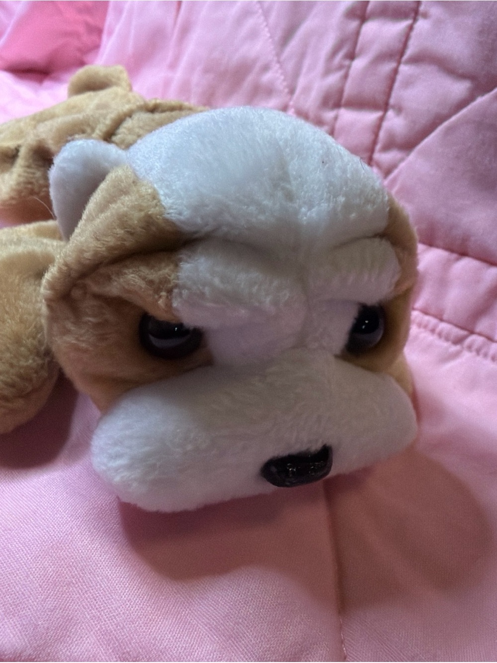 Ty Beanie Baby Plush Animal Wrinkles Style 1996